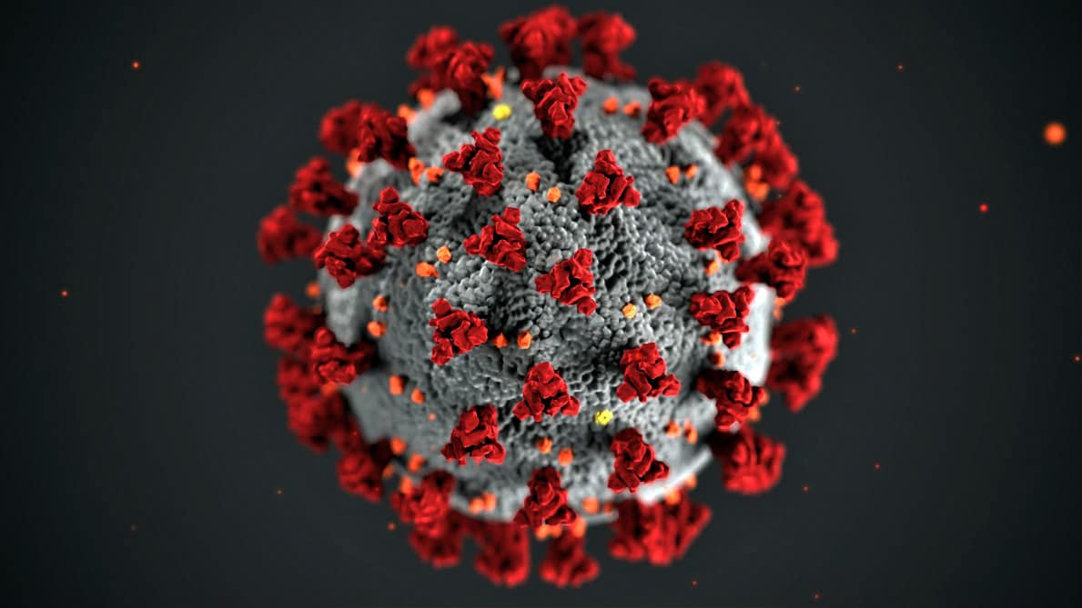 Coronavirus Houston